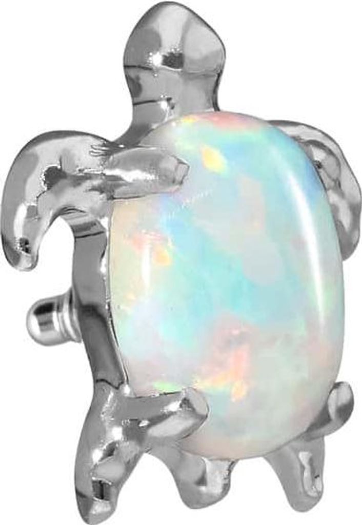 Titan Schraubaufsatz mit Außengewinde SCHILDKRÖTE