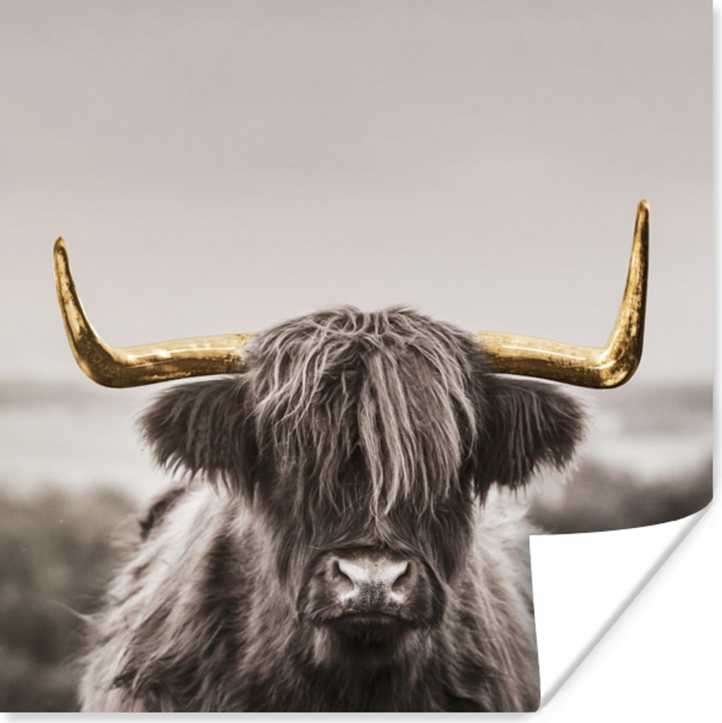 MuchoWow Poster Schottischer Highlander - Gold - Hoorn 30x30 cm - Wandposter - Printing