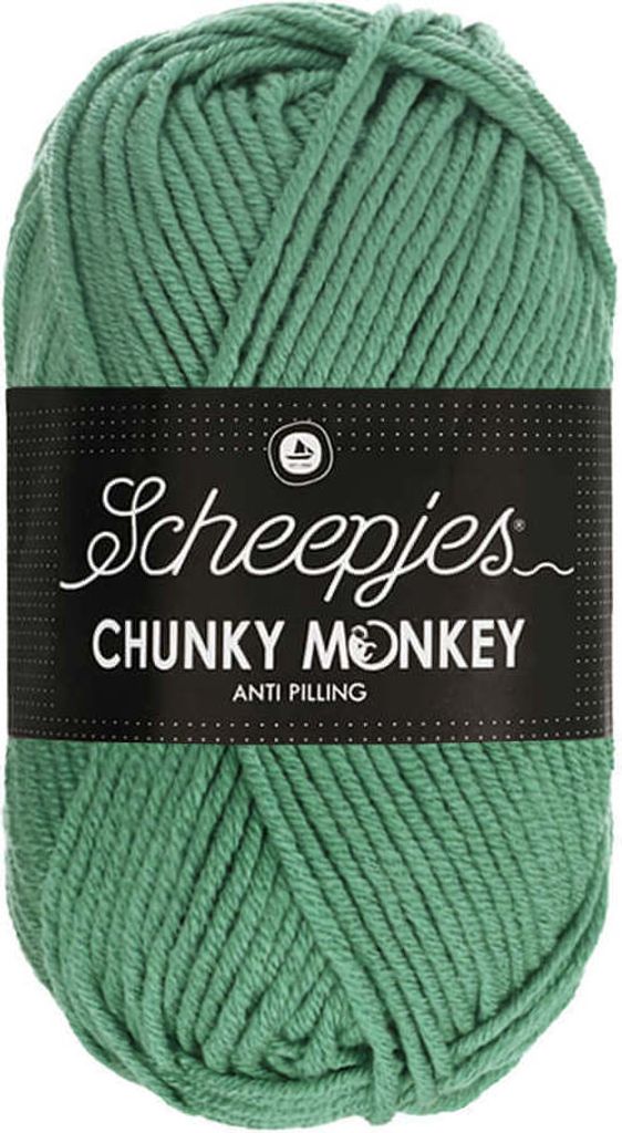 Scheepjes Chunky Monkey 100g 1725 Eucalyptus