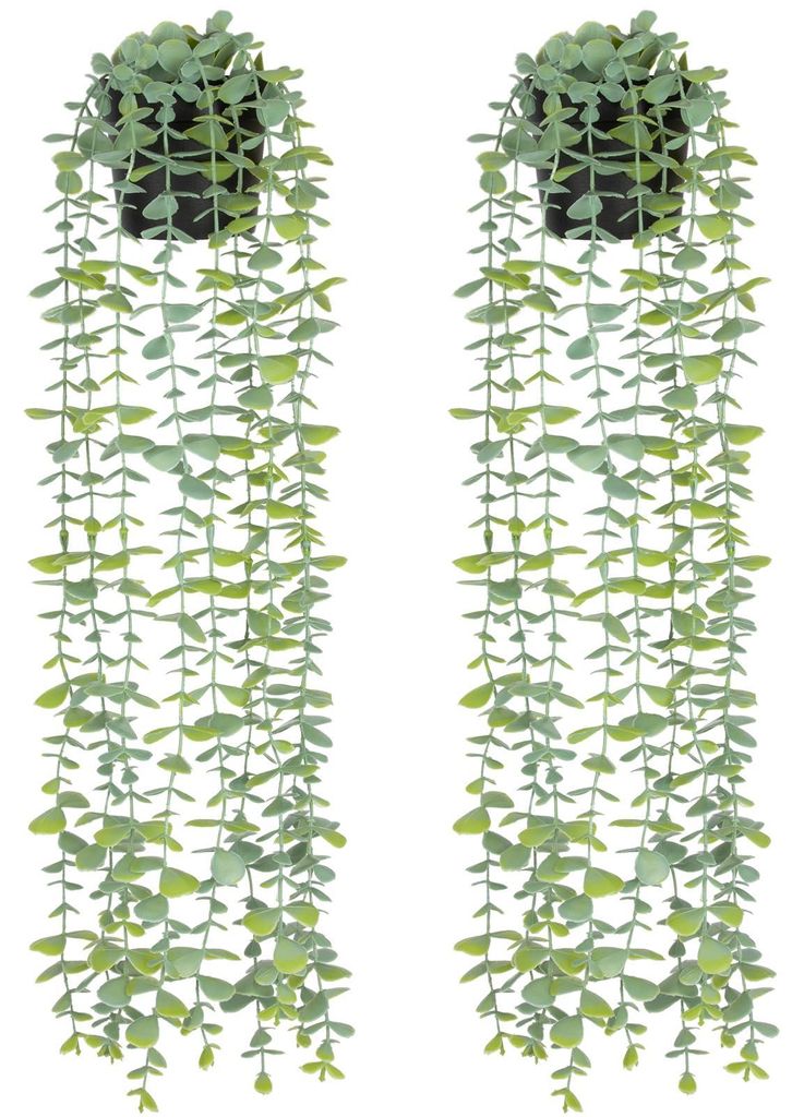 künstliche Pflanzen, realistisch aussehende Hängepflanzen, künstlicher Eukalyptus im Topf, hängende Kunststoffpflanzen zur Dekoration von Wohnz...