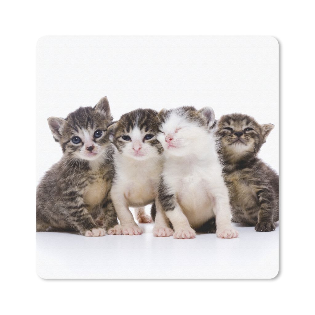 MuchoWow Mauspad Mousepad Katze - Haustiere - Fell - Porträt 30x30 cm - Mousepads - Maus Mat - Pad - Mausunterlage - Gaming
