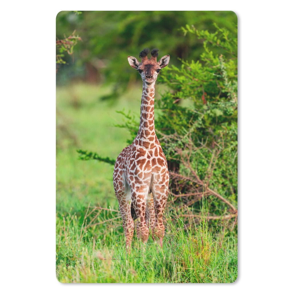 MuchoWow Mauspad Mousepad Baby - Giraffe - Pflanzen 40x60 cm - Mousepads - Maus Mat - Pad - Mausunterlage - Schreibtisch Accesoire