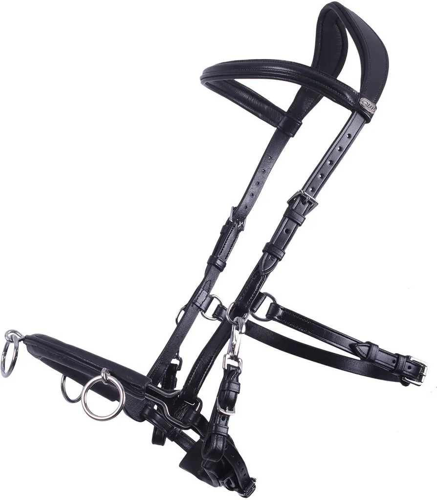 Bridon QHP en cuir de buffle de qualité supérieure avec muserolle combinée