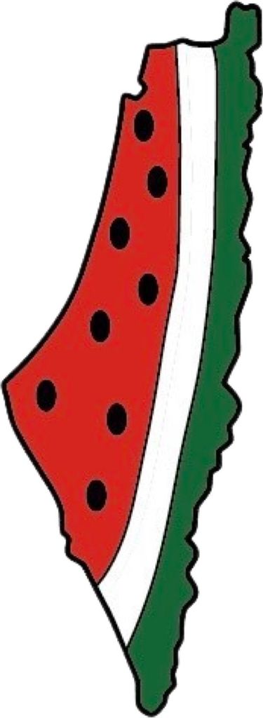 Palästina-Wassermelonen-Bügelapplikation