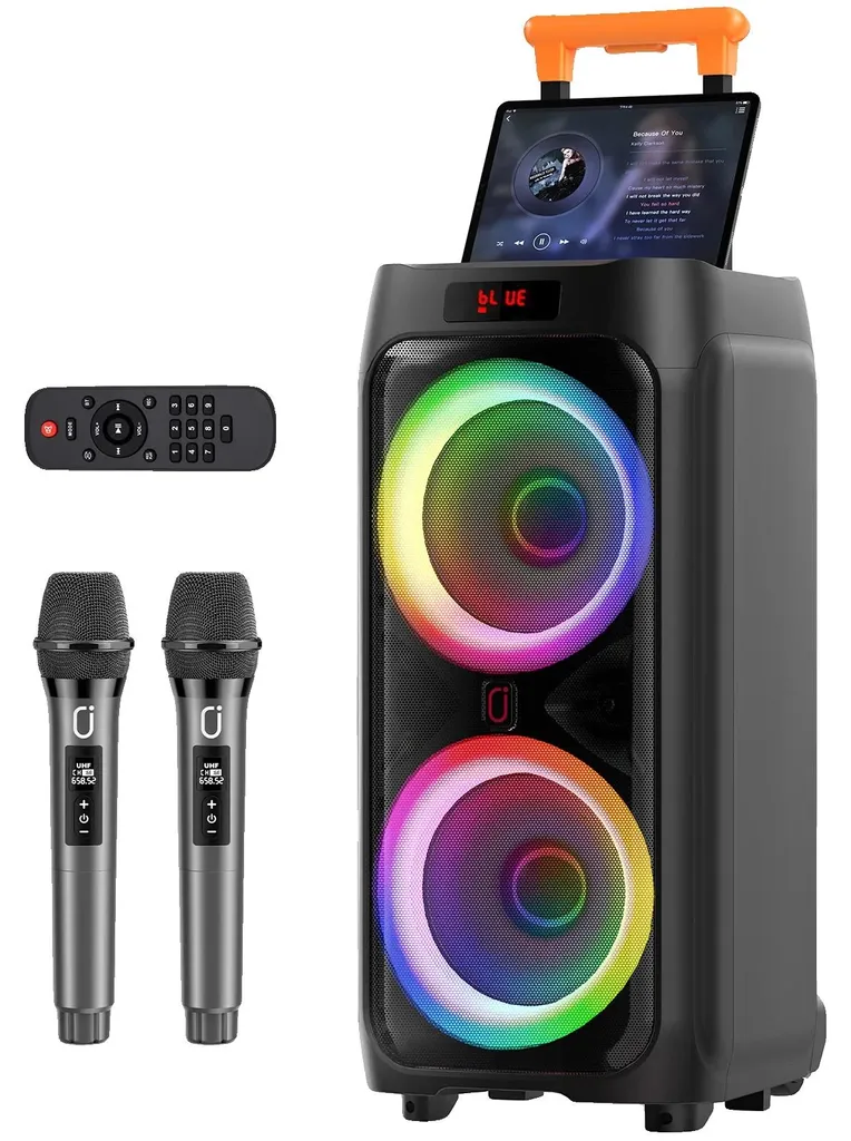 Haut-parleur karaoké Bluetooth 5.3 batterie 12h et 2 micros longue portée