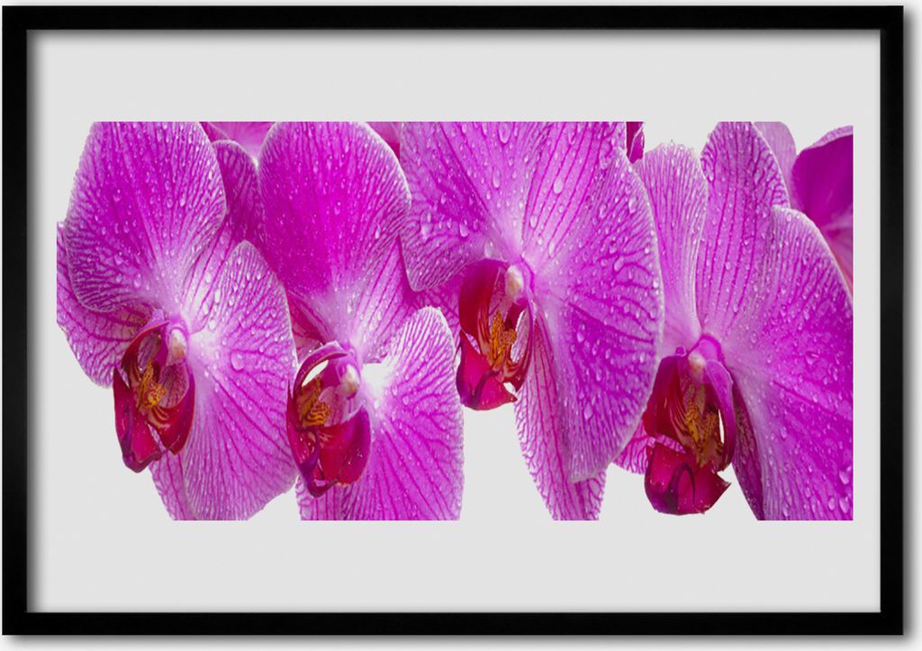 Bild 100x70 MDF-Rahmen Wandkunst Blumen Pflanzen Natur