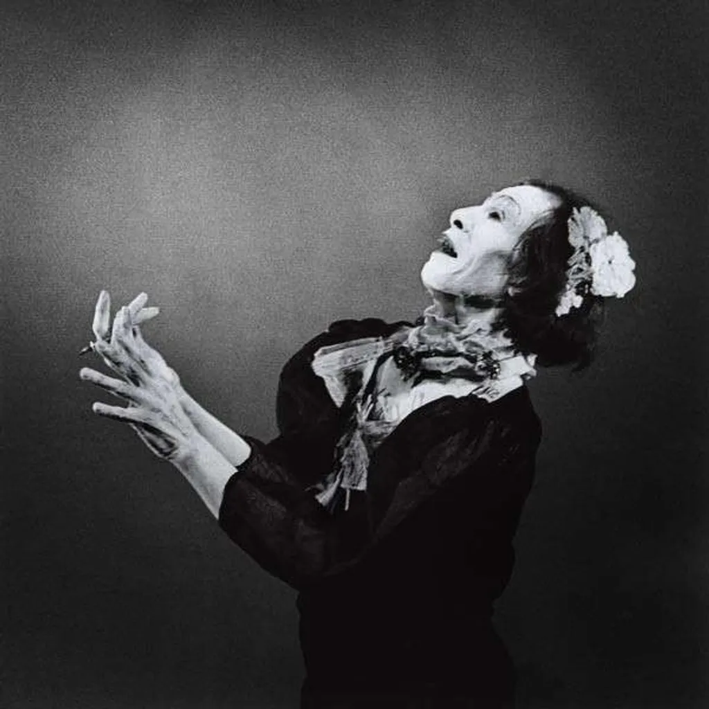 Idée Cadeau Musique Antony and the Johnsons The Crying Light Album Rare