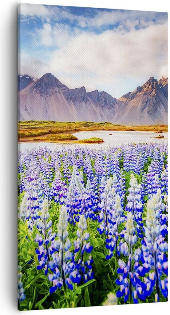 Bild auf Leinwand - Leinwandbild - Berge Wiese Blumen - Produktbild 
