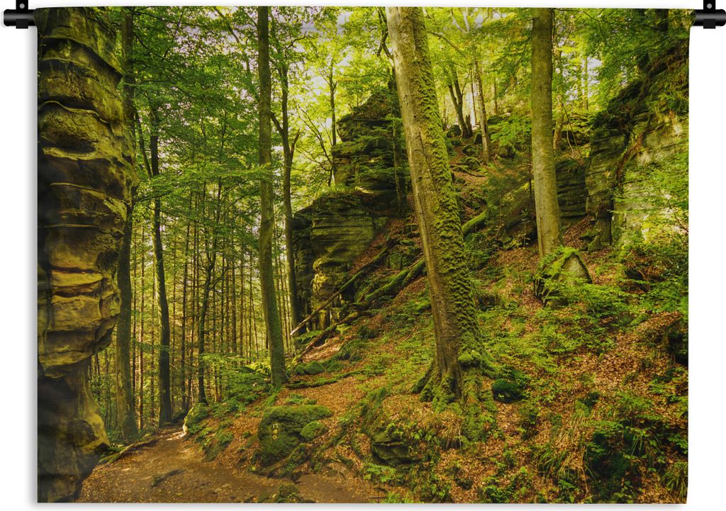 MuchoWow Wandteppich Wandbehang Bäume - Stein - Wald - Natur - Pflanzen 90x67.5 cm Tapisserie Dekoration Wandtuch - Fototeppich - Wand-Skulpturen