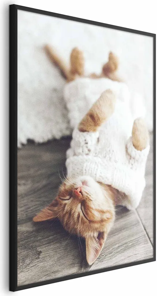 Quadro Gatto Pigro 40x60 con Cornice Nera | Decorazione Parete Moderna