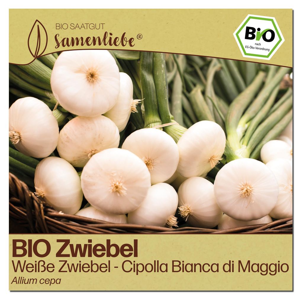 Samenliebe Zwiebel Samen | Cipolla Bianca di Maggio - weiße & mild zart & frühe Sorte - samenfestes Saatgut