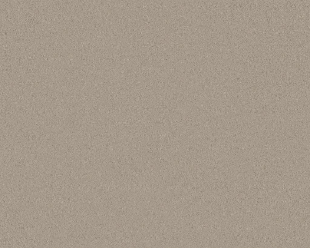 A.S. Création Vliestapete MeisterVlies 5 die glatte Wand Produktbild 