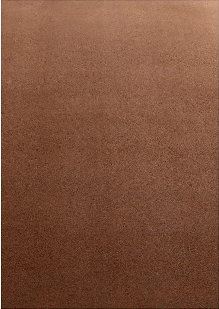 Grand Tapis de Salon Marron 240x340 Lavable en Machine Teppium Moderne