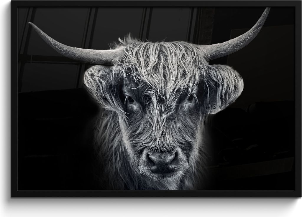 MuchoWow MuchoWow Gerahmtes Poster Schottisches Hochlandrind - Schwarz - Kuh - Tiere 90x60 cm - Poster mit zchwarzem Bilderrahmen - Fotorahmen ...