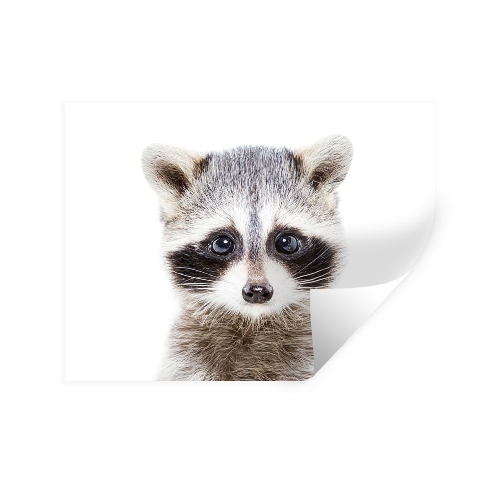 MuchoWow Wandtattoo Wandsticker Wandaufkleber Waschbär - Tiere - Natur - Weiß 120x90 cm Selbstklebend und Repositionierbar - Aufkleber