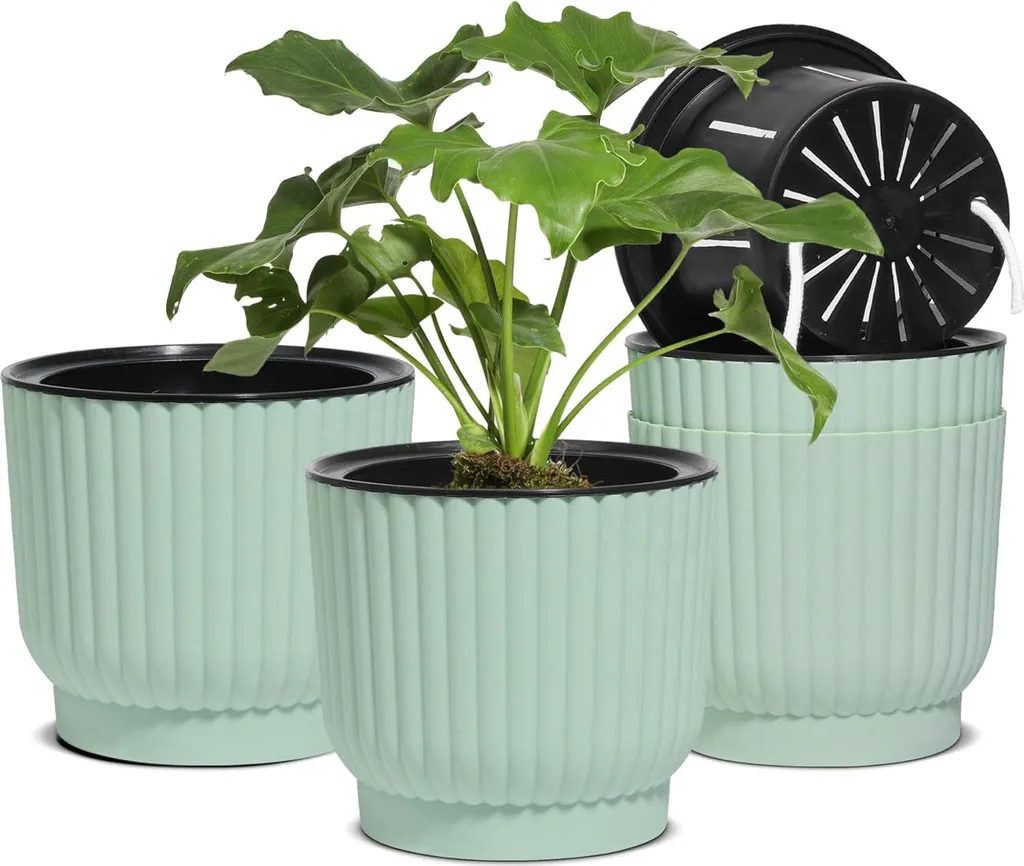 Pot pour orchidées et herbes en hydroculture vert avec réserve d'eau