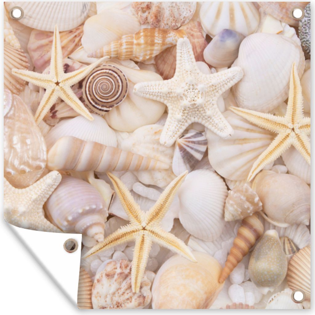 MuchoWow 100x100 cm Outdoor-Poster Gartendeko Sichtschutz Garten Poster für den Garten Seestern - Muscheln - Strand - Sommer