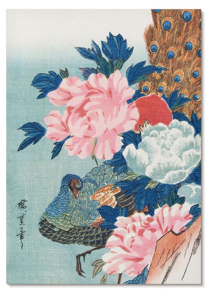 POSTER - 42x59 cm (A2) - Utagawa Hiroshige - Pfau und Pfingstrosen, japanischer Holzschnitt von Utagawa Hiroshige (Vintage). - Wandbild für Wohnzi...