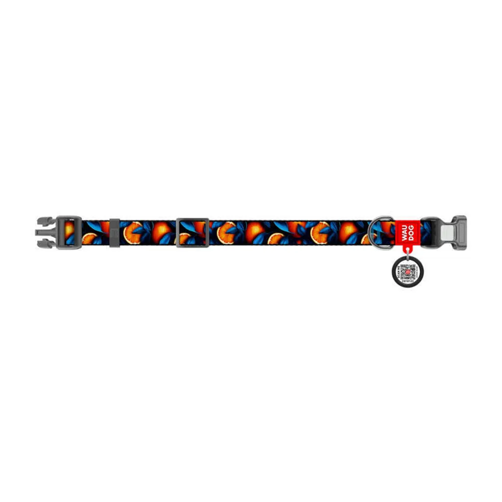 Collier pour Chien en Nylon Orange Taille L avec Médaille Connectée