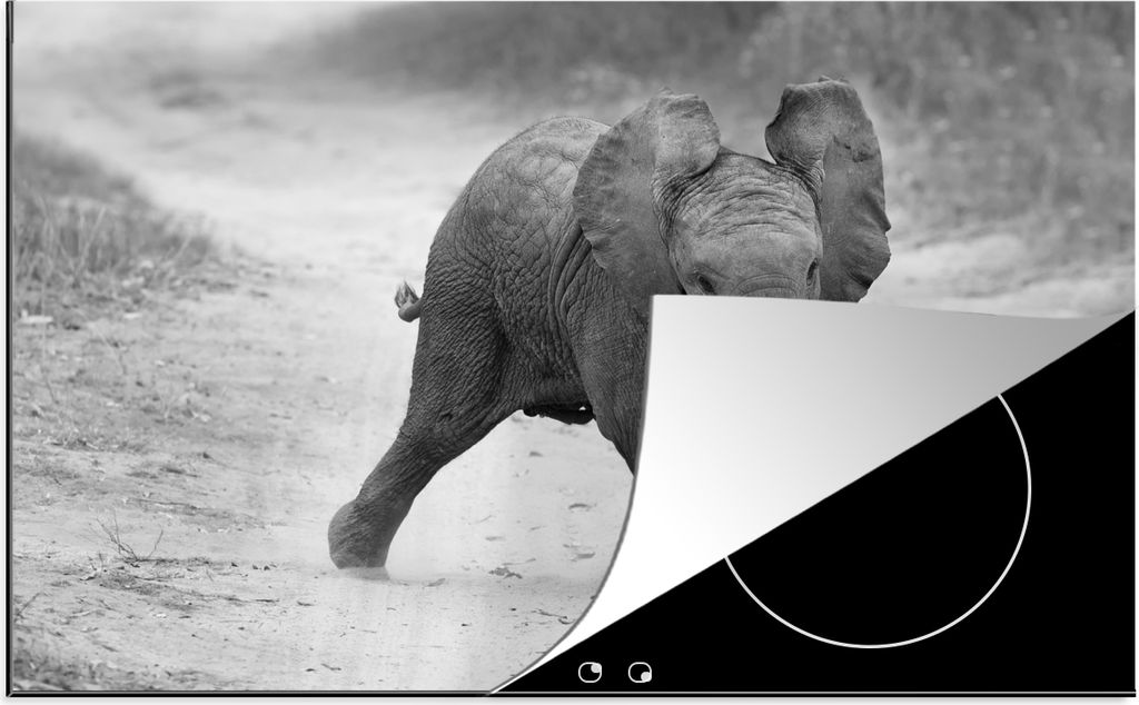 KitchenYeah Herdabdeckplatte Elefant - Baby - Tiere - Kröte - Schwarz und weiß , 81x52cm, Küche Deko, Glaskeramikfeld Herdabdeckung, Abdeckpla...