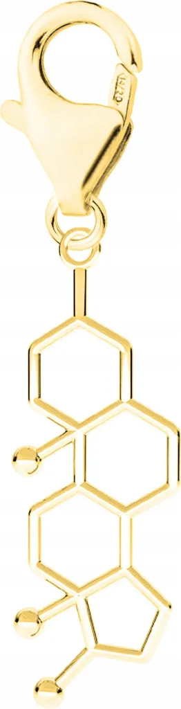Collana Testosterone Molecola Argento 925 Oro - Look Maschile Deciso