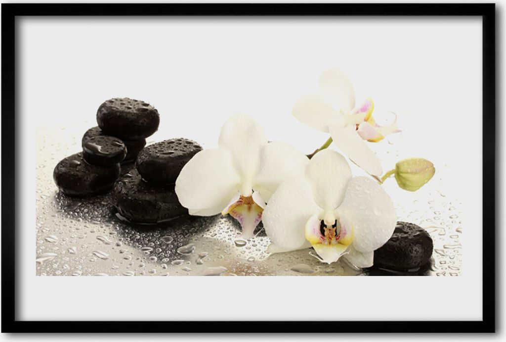 Bild 60x40 MDF-Rahmen Wandkunst Stein Blume Pflanze