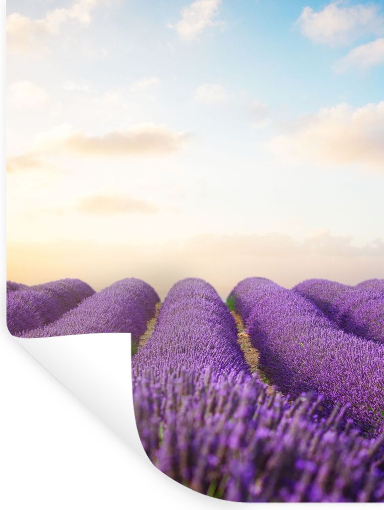 MuchoWow Wandtattoo Wandsticker Wandaufkleber Lavendel - Himmel - Wolken - Blumen 60x80 cm Selbstklebend und Repositionierbar - Repositionierbar ...