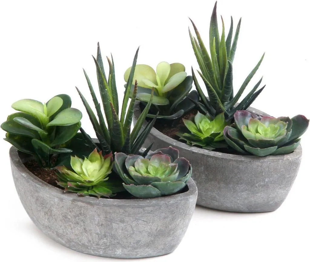 T4U pianta artificiale succulenta verde set di 2 con vaso
