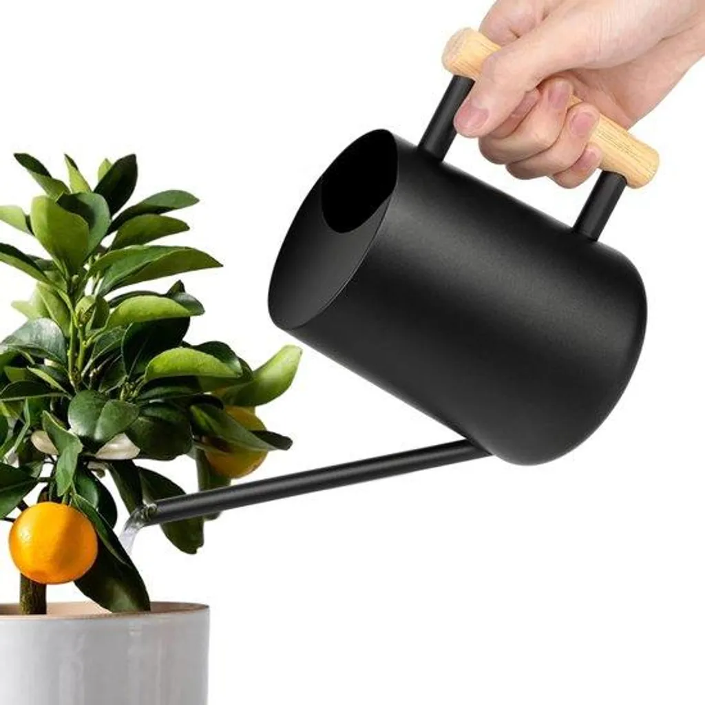 Arrosoir pour plantes d'intérieur 1L - Arrosage précis en inox noir