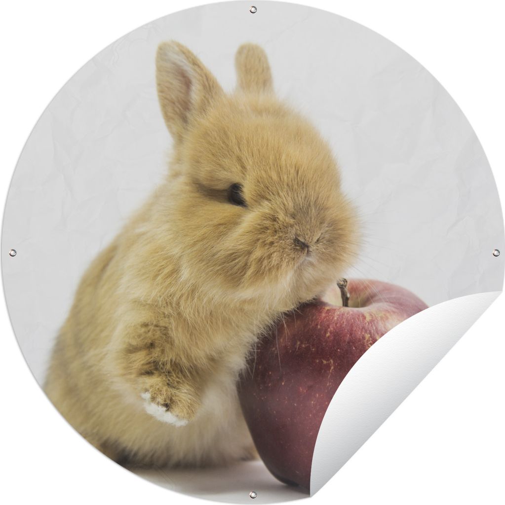 MuchoWow Gartenposter Outdoor-Poster Rund Kaninchen - Baby - Apfel Ø 120 cm Gartendeko Rundes Poster draußen