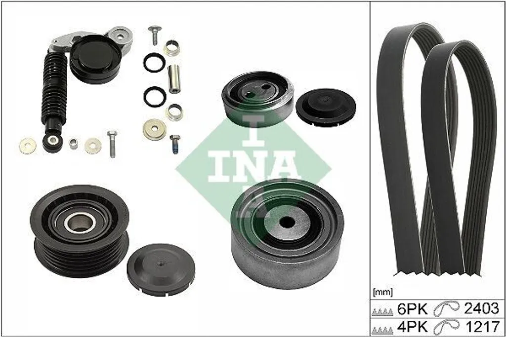 Courroies Striées INA Haute Résistance pour Audi A4 B6 A6 C5 B7 Allroad