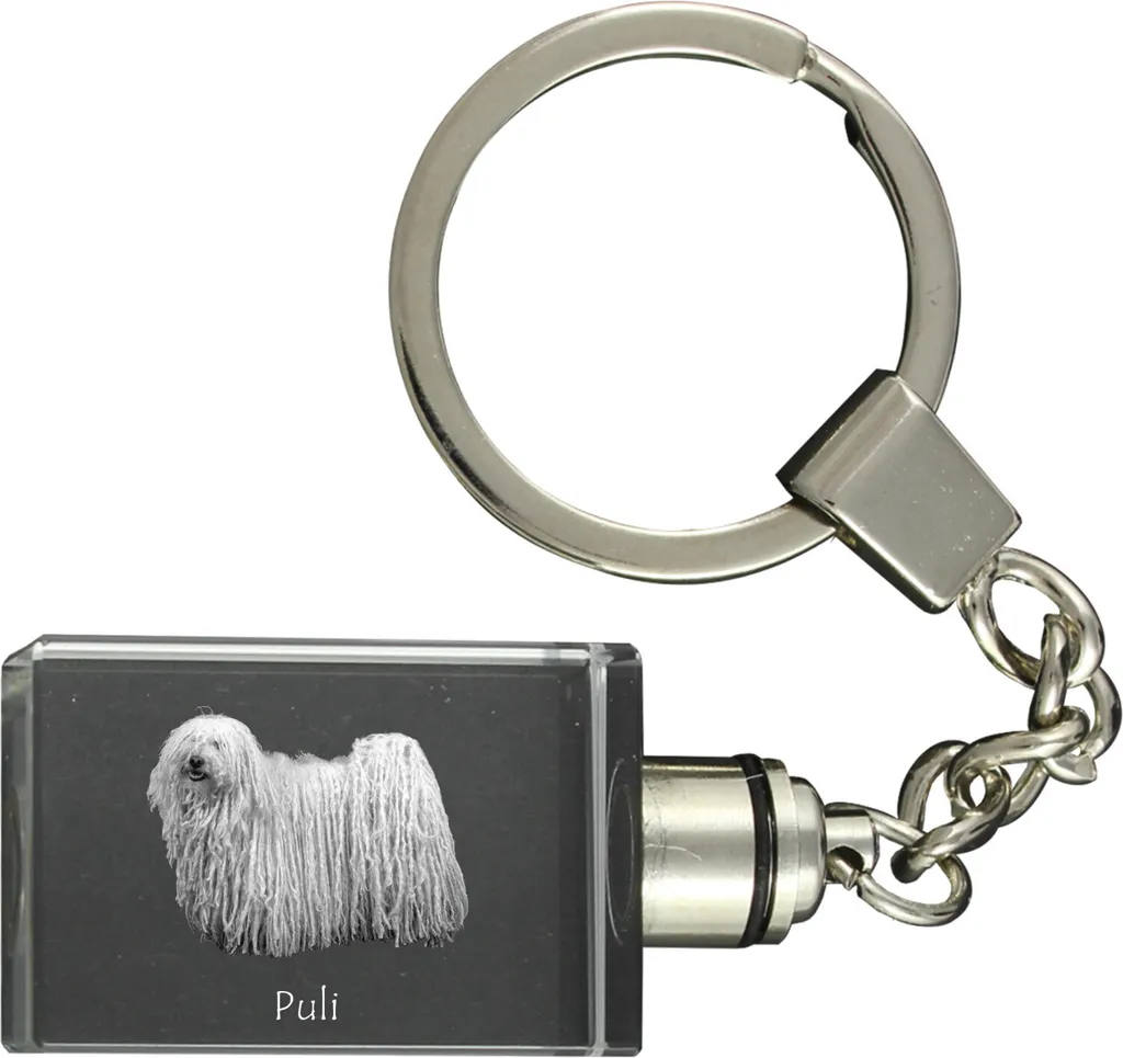 Puli Portachiavi Luminoso in Cristallo: Regalo Personalizzato Art-Dog