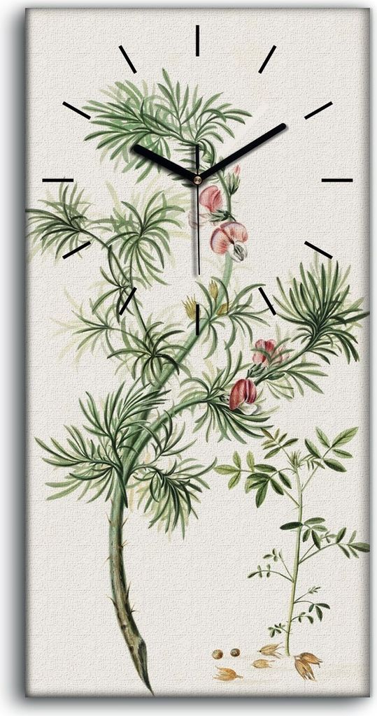 Wanduhr Uhr Wandbild Leinwand 30x60 Malerei Blumen Zweig Pflanze Kunst - schwarze Hände