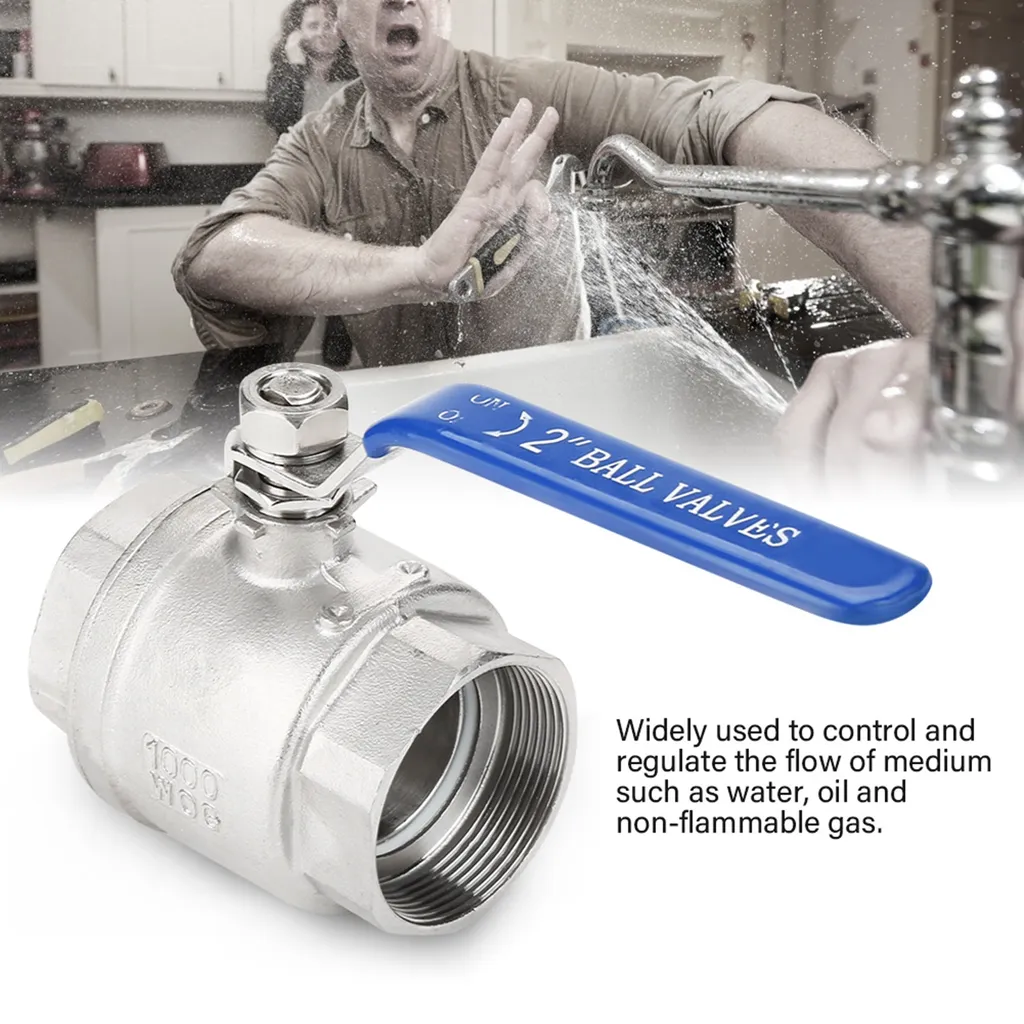 Robinet à boisseau sphérique 2 pouces DN50 en inox 304 type 1000 WOG - 6