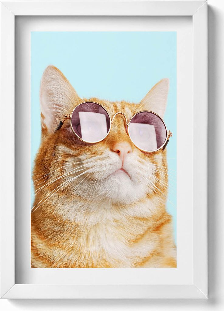 Lustige Katze mit Brille– Wandbild mit Rahmen – Gerahmtes Bild – Wanddekoration – 20x30 cm – Weiß
