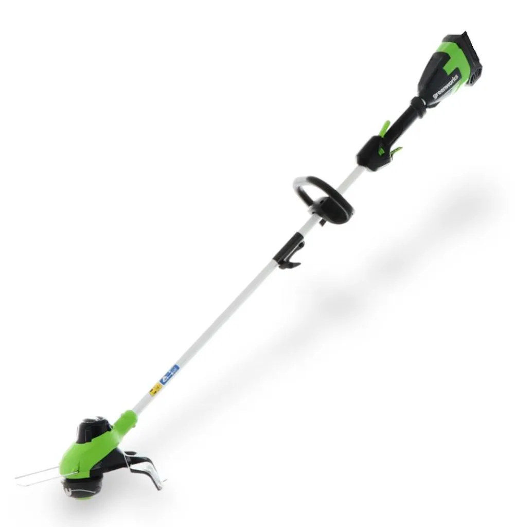 GREENWORKS Coupe-bordure sans fil 48V G48ST8 avec tête double fil pour jardin