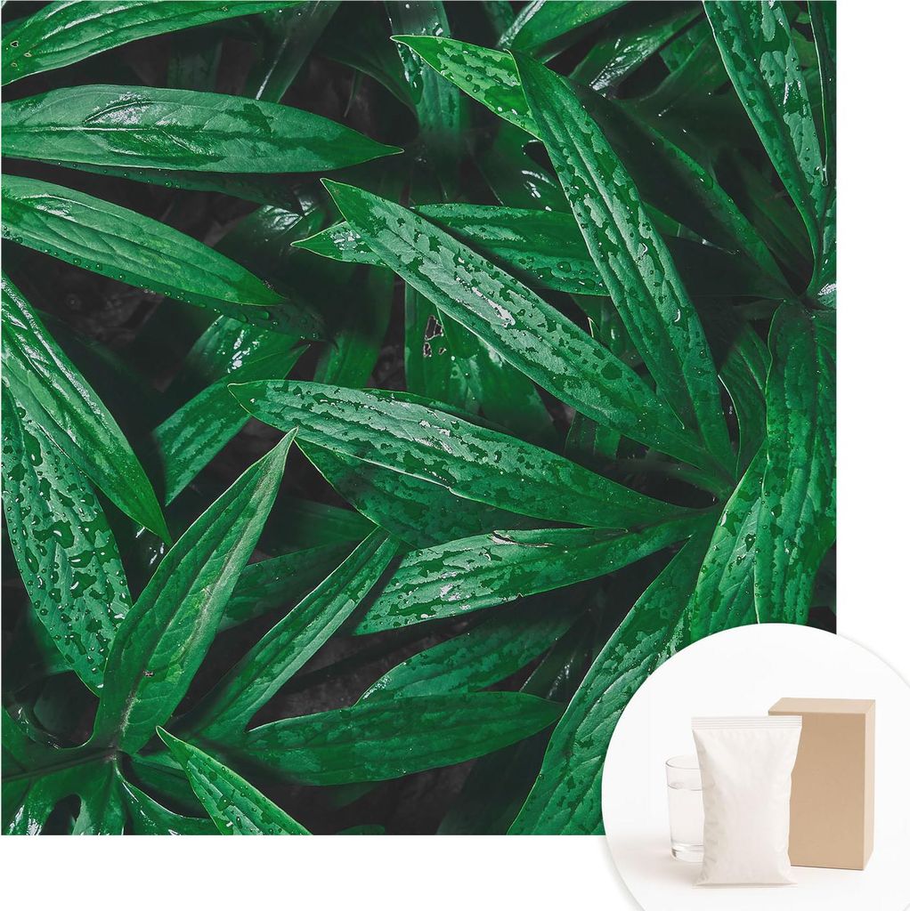 Fototapete - Wandbilder für Wohnzimmer - 250x250 cm - Dekorative Wandfolie - Modernes Design für Wanddekoration - Tapeten für Innenräume - Nat...