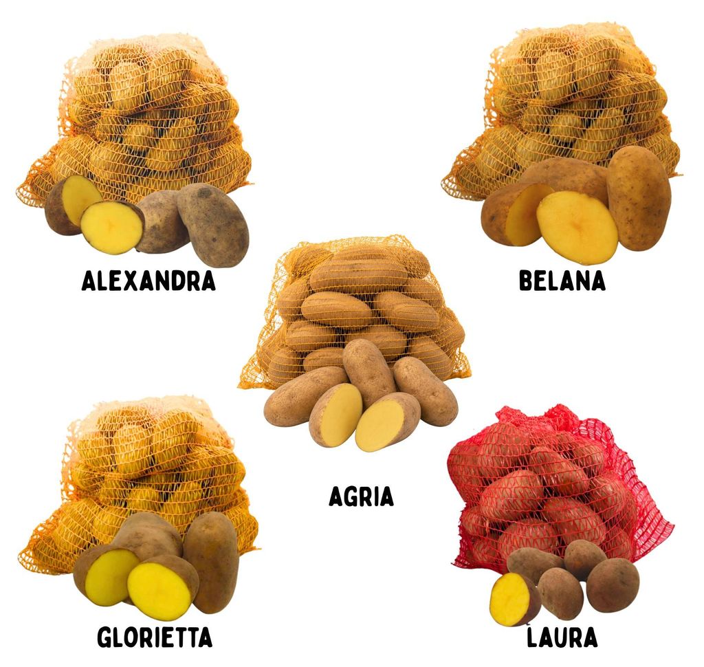 Speisekartoffeln "Probierset", 5x 5kg, beinhaltet die Produktbild 