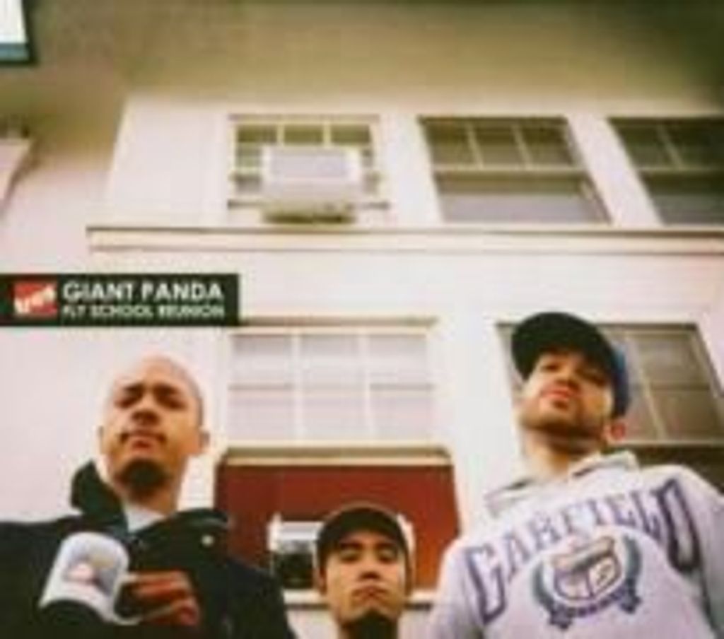 Giant Panda-Fly School Reunion