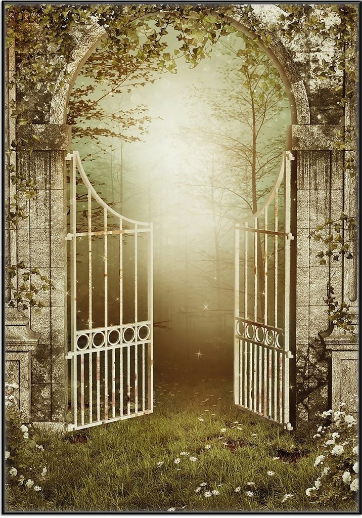 Wallario Wandbild Tor in den Wald, Größe: 70,30 x 100,30 cm, Poster mit schwarzem Aluminiumrahmen
