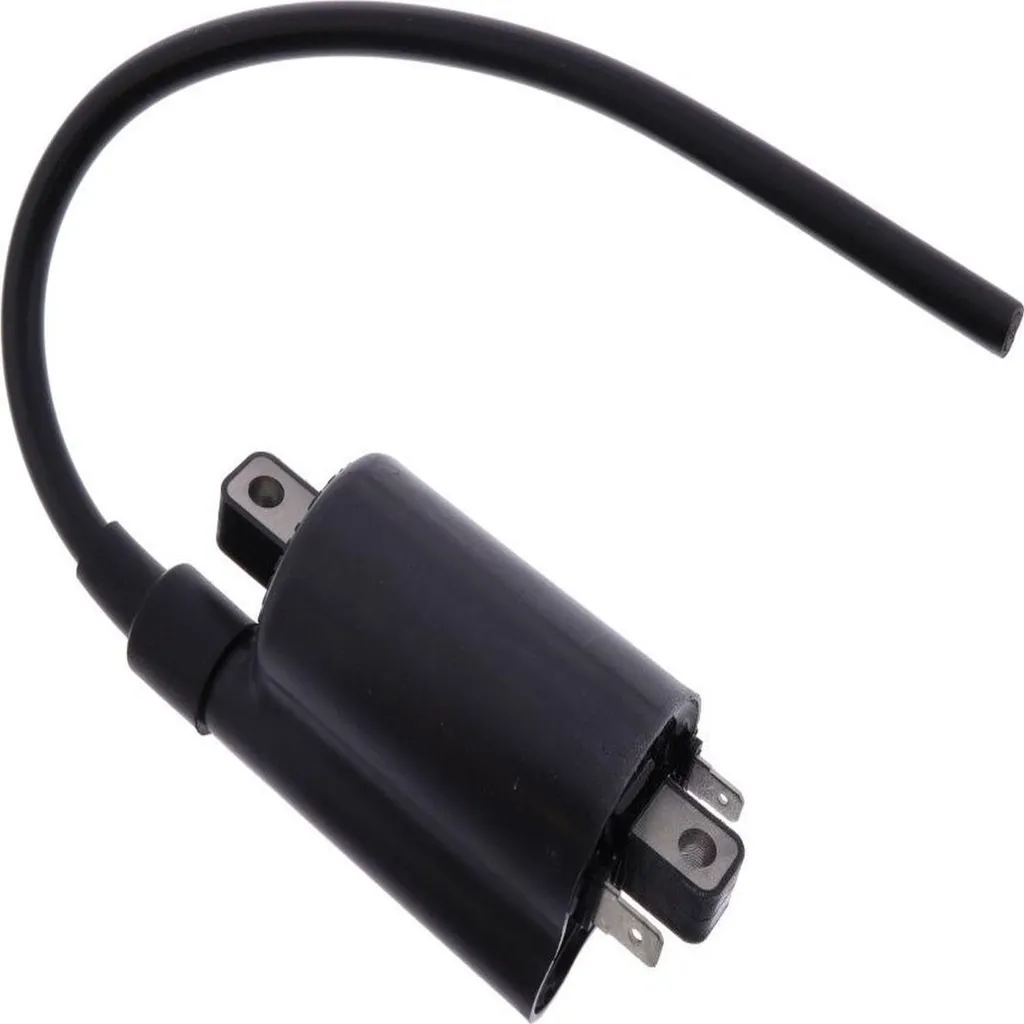 Bobine d'allumage étanche pamoto pour moto Suzuki VZ 800 Custom