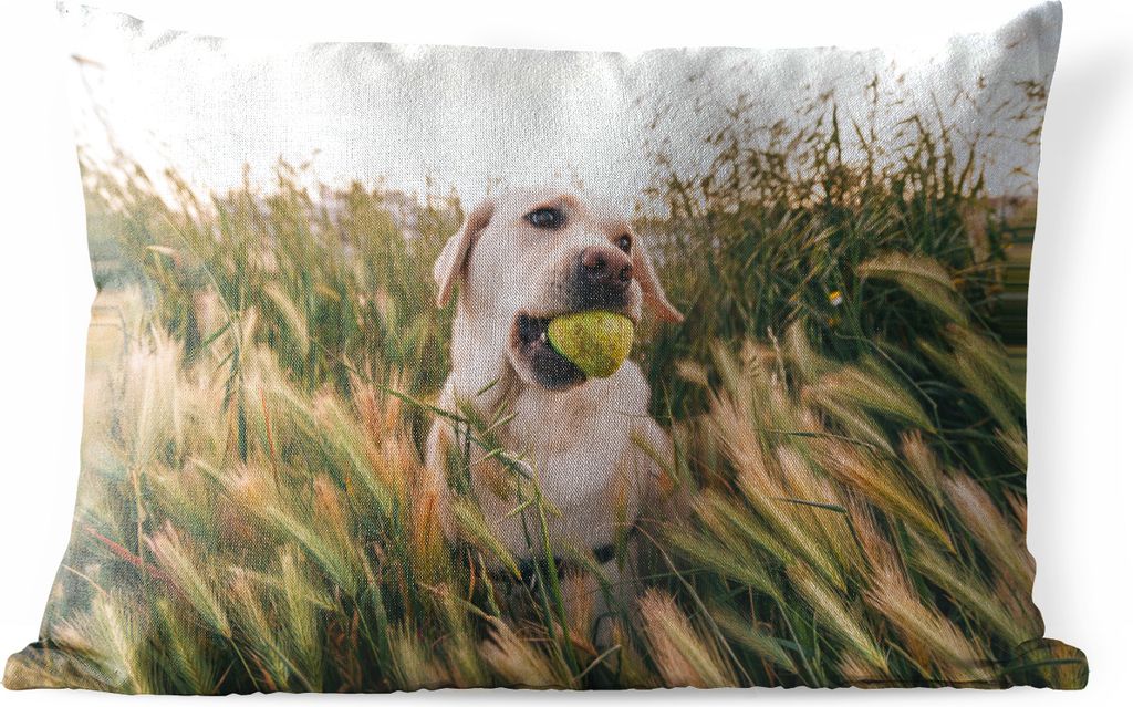 MuchoWow Outdoor Kissen - Labrador Retriever spielt mit einem Tennisball im Gras - 60x40 cm - Wetterfest - Lounge Kissen - Zierkissen - Kissen f...