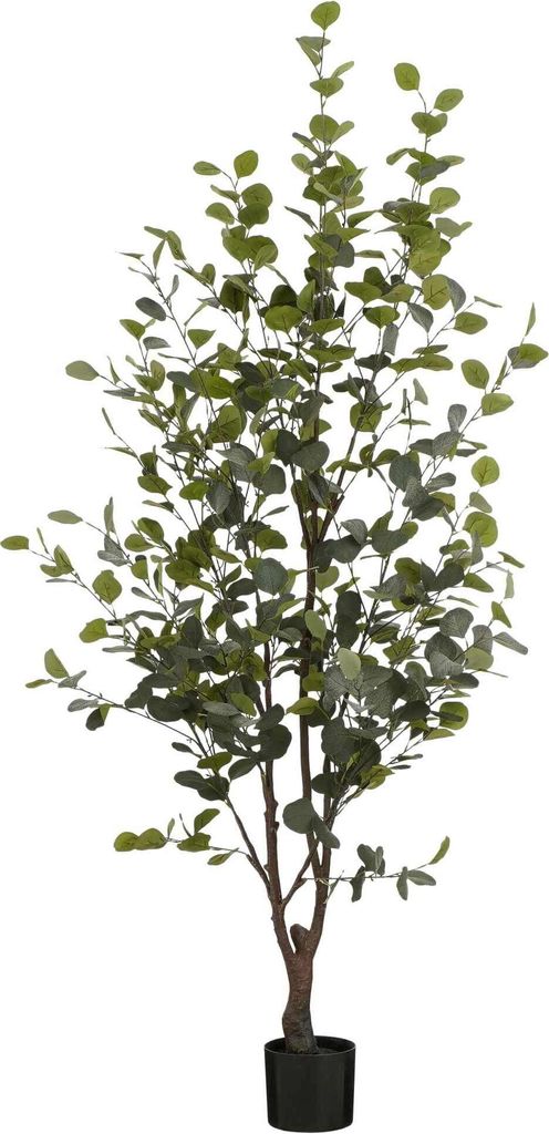 Mica Decorations Eucalyptus Kunstpflanze in Blumentopf - Produktbild 