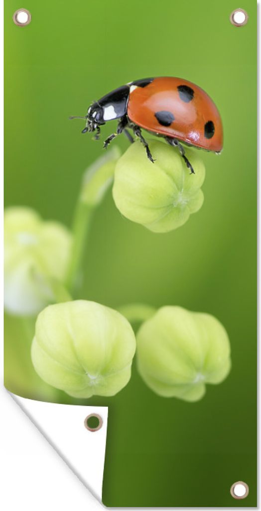 MuchoWow 30x60 cm Outdoor-Poster Gartendeko Sichtschutz Garten Poster für den Garten Frühling Marienkäfer