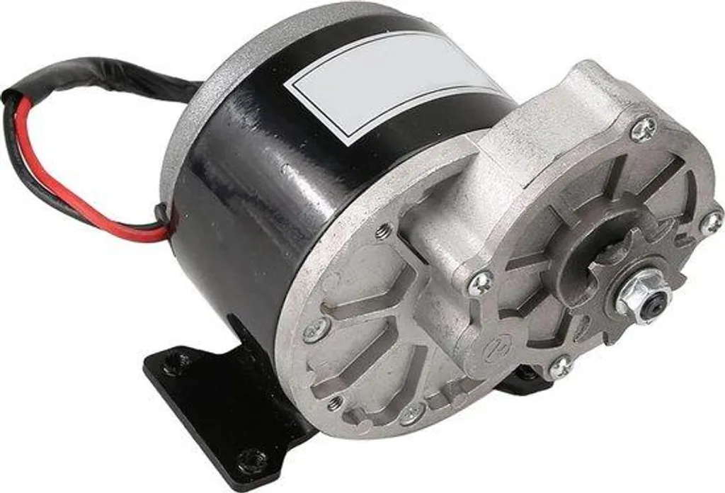 Moteur électrique à courant continu 12V 250W avec pignon