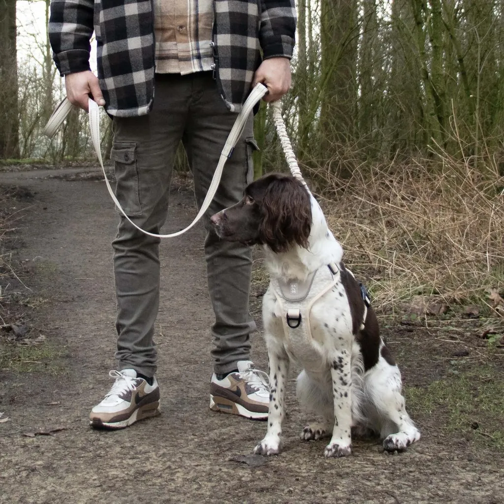 Laisse multi-position pour chien Duvo+ EXPLOR Ultimate Fit blanc antique - 4