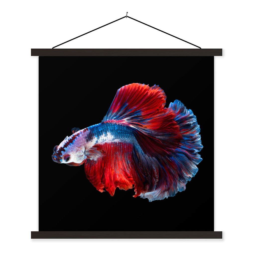 MuchoWow Textilposter Fisch - Schwanz - Schwarz 60x60 cm mit schwarzem Rahmen - Posteraufhänger