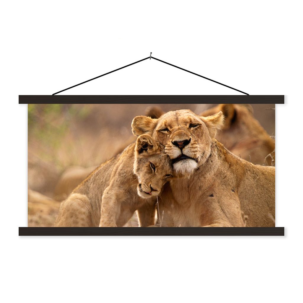 MuchoWow Textilposter Löwe - Wilde Tiere - Jungtier 90x45 cm mit schwarzem Rahmen - Klemmleisten