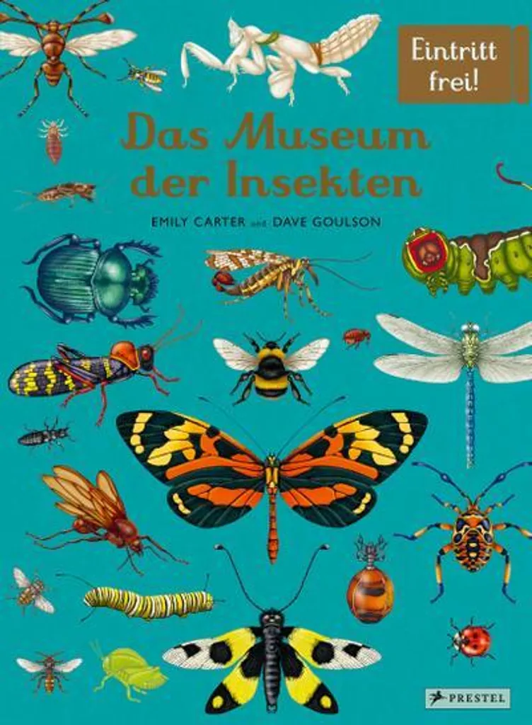 Das Museum der Insekten : Le cadeau idéal pour explorer la nature en famille