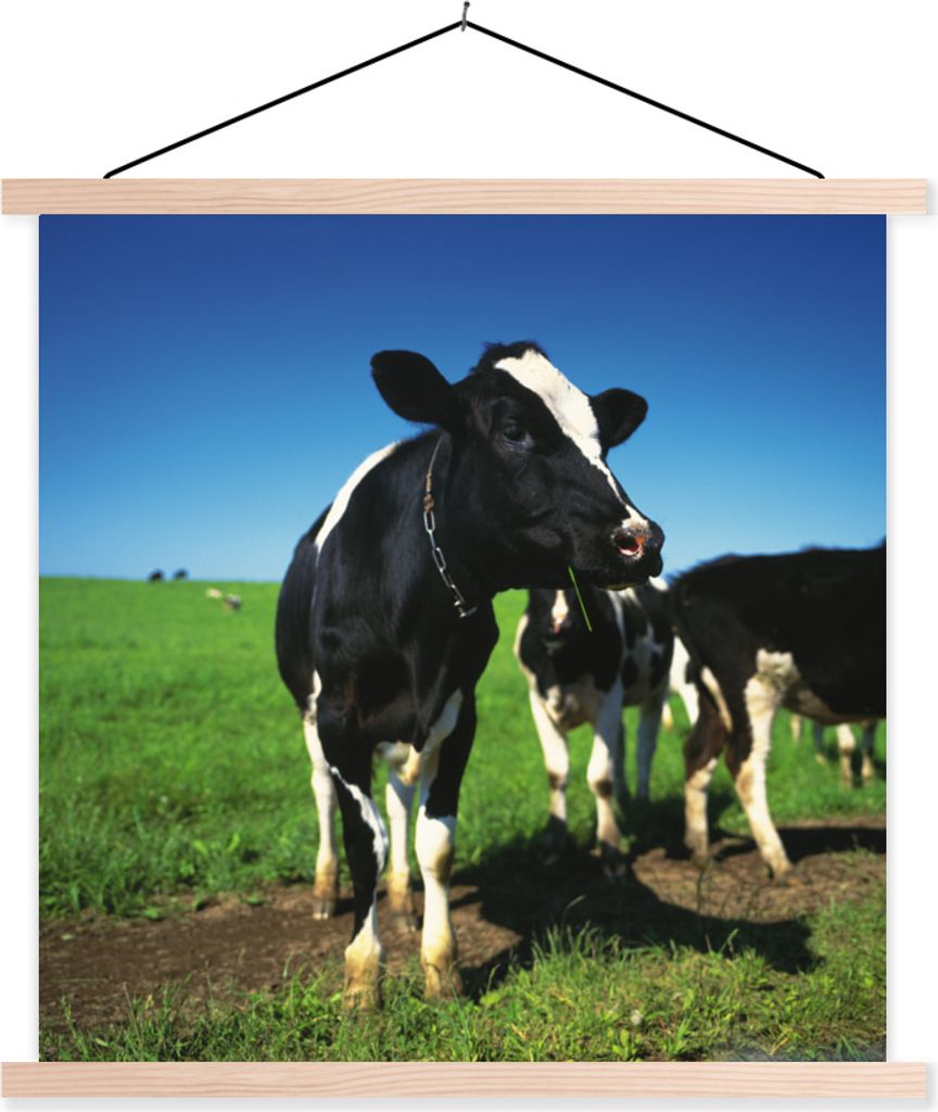 MuchoWow Textilposter Kuh - Gras - Tiere 60x60 cm mit holzfarbenen Rahmen - Wanddekoration